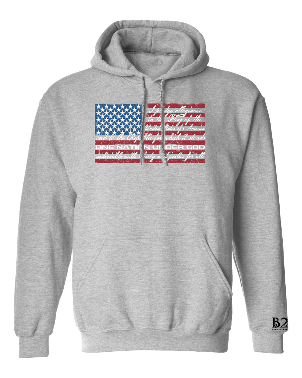 RTS Pledge of Allegiance Flag